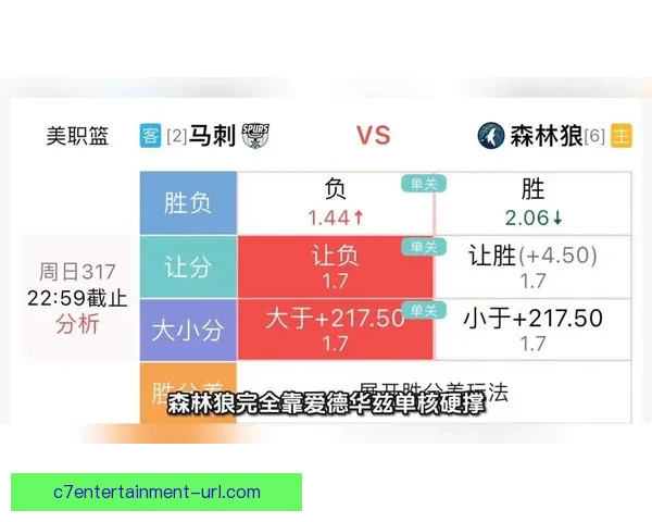 体育赛事深度解析与战术数据洞察全面评估比赛走势